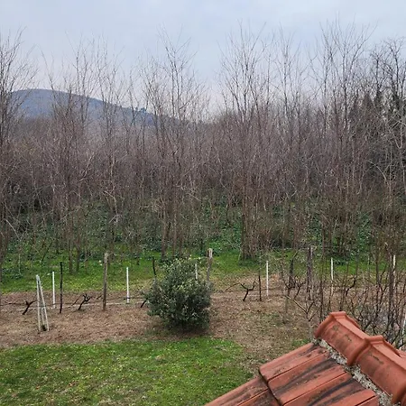 Vila Lush Garden Close To Airport With Hi-speed Wifi Podgorica