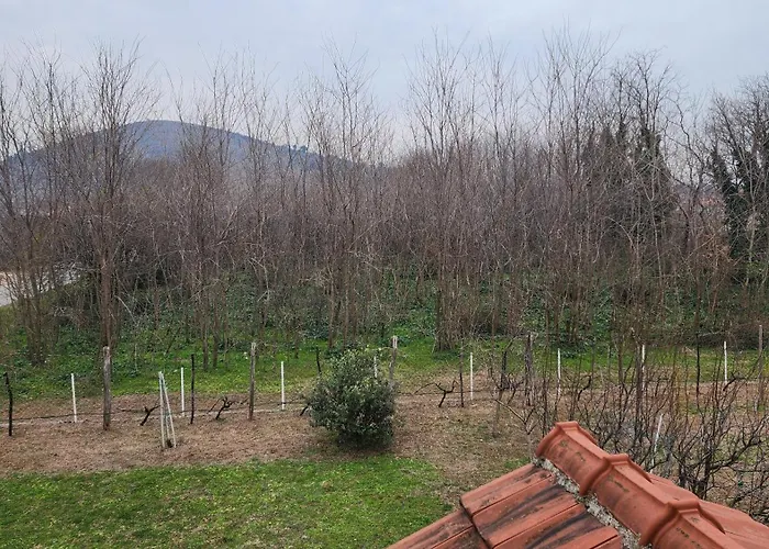 Vila Lush Garden Close To Airport With Hi-speed Wifi Podgorica