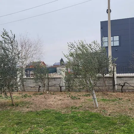 Lush Garden Close To Airport With Hi-speed Wifi Podgorica
