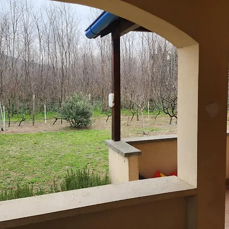 Lush Garden Close To Airport With Hi-speed Wifi Villa